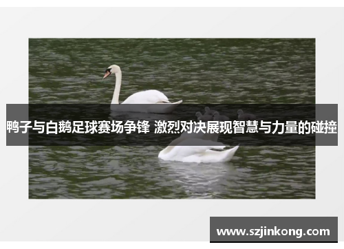 鸭子与白鹅足球赛场争锋 激烈对决展现智慧与力量的碰撞